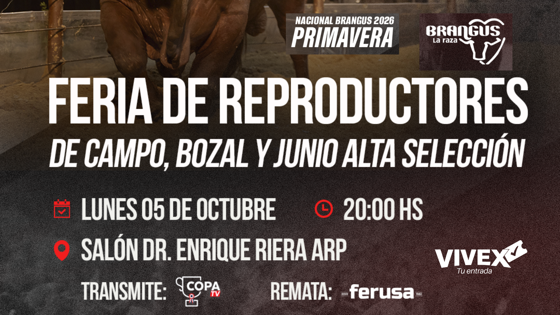 NACIONAL BRANGUS PRIMAVERA 2026